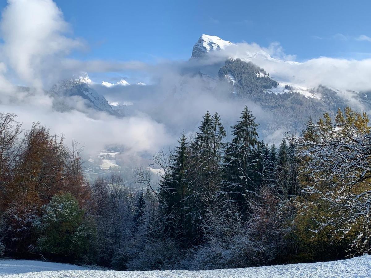 Maison Du Bourg Samoëns Екстериор снимка